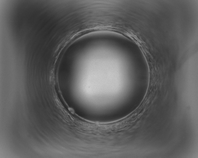 X0000074220002200608251141