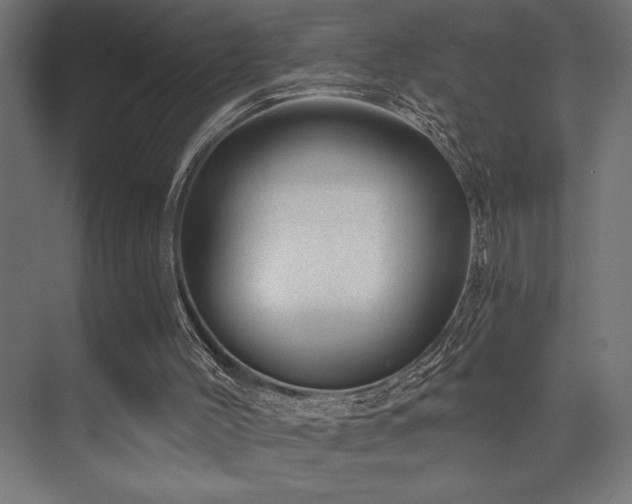 X0000074220004200608251141