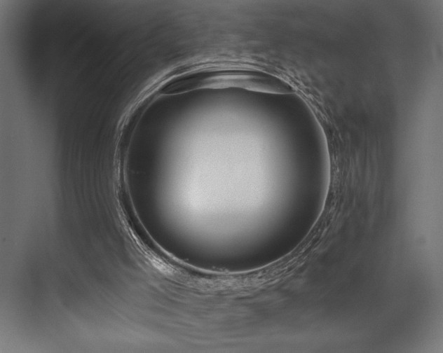 X0000074220005200608251141