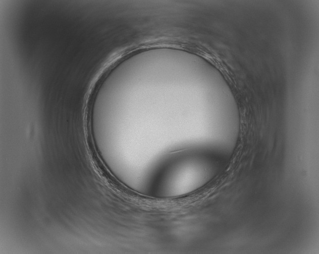 X0000074220006200608251141