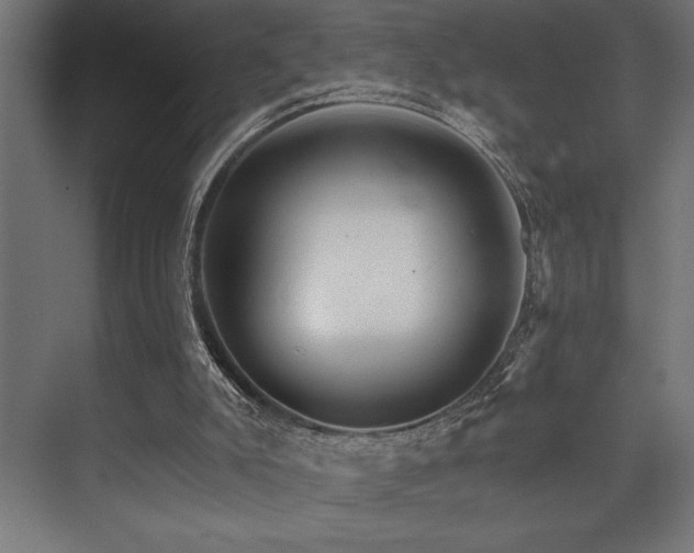 X0000074220007200608251141