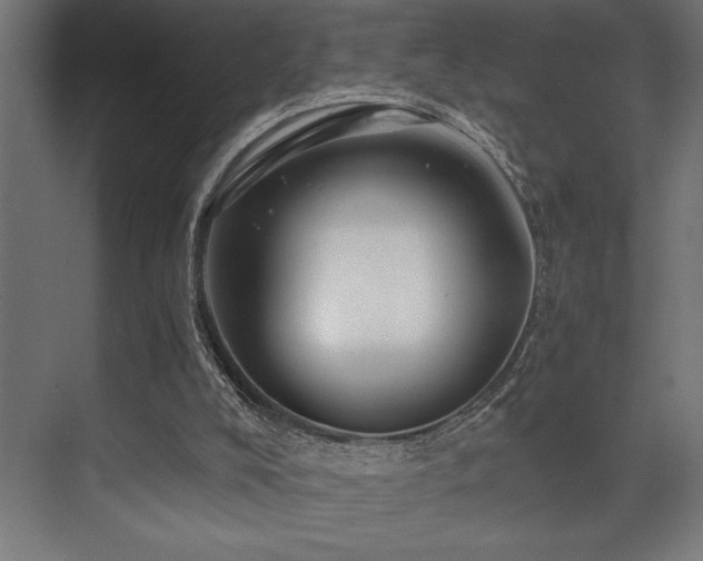 X0000074220008200608251141