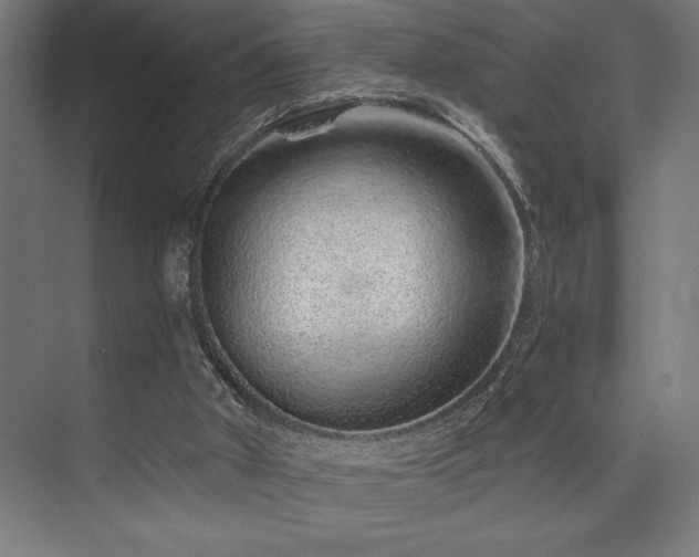 X0000074220010200608251141