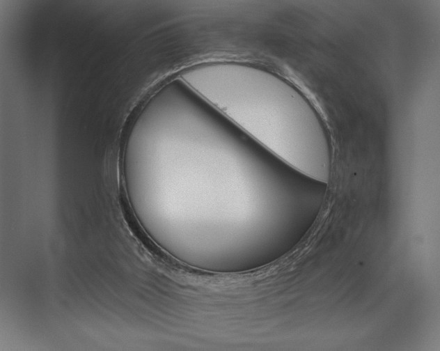 X0000074220011200608251141