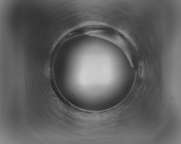 X0000074220015200608251141