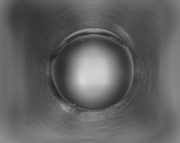 X0000074220025200608251140