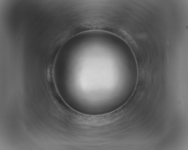 X0000074220026200608251140