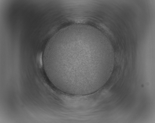 X0000074220028200608251140