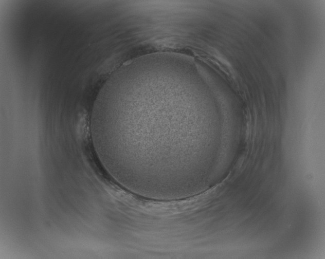 X0000074220029200608251140