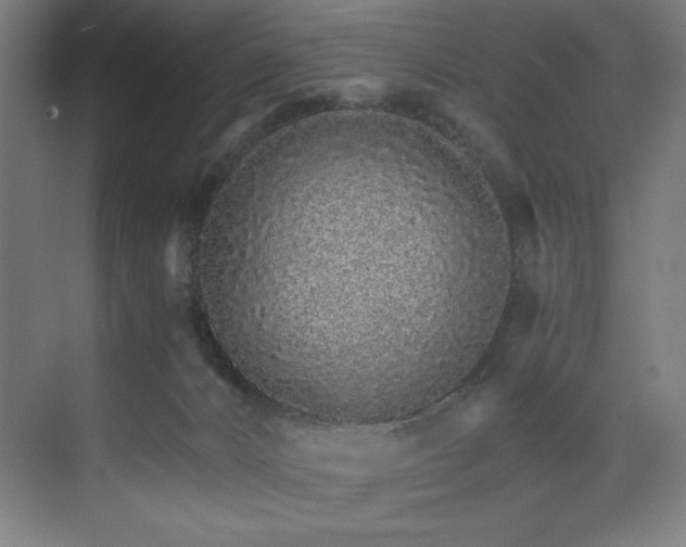 X0000074220032200608251140