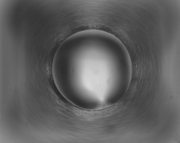 X0000074220039200608251140