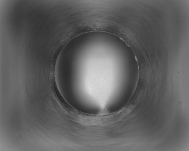 X0000074220040200608251140