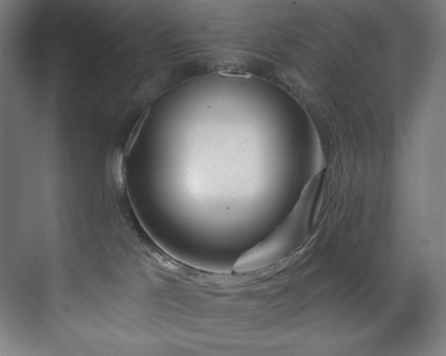 X0000074220041200608251140