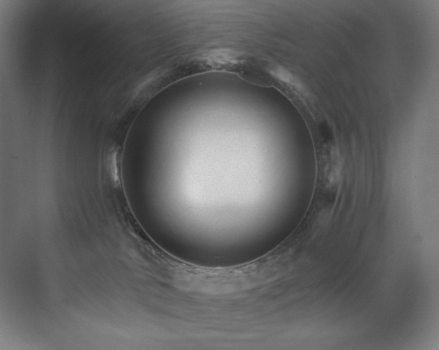 X0000074220042200608251140