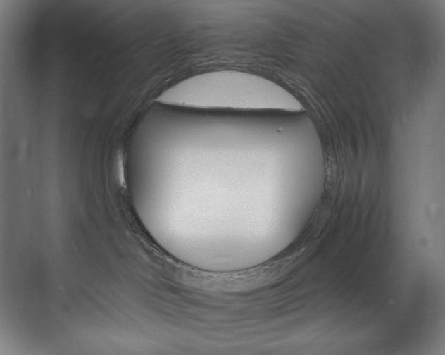 X0000074220046200608251140