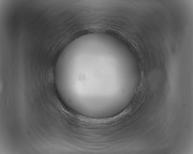 X0000074220048200608251140