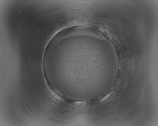 X0000074220052200608251139