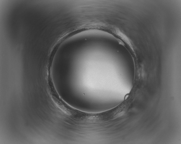 X0000074220059200608251139