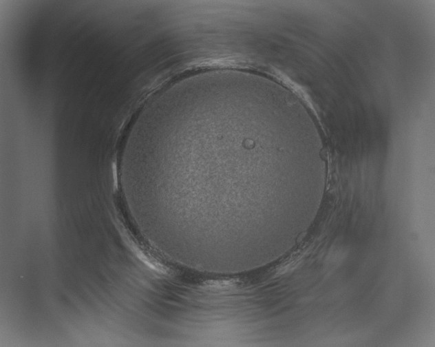 X0000074220061200608251139