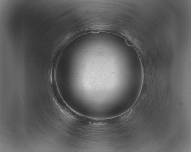 X0000074220062200608251139