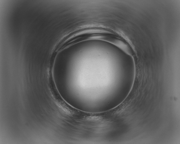 X0000074220063200608251139