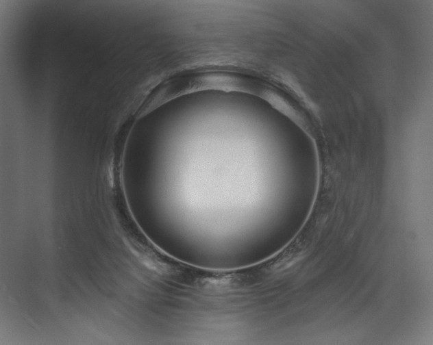 X0000074220068200608251140