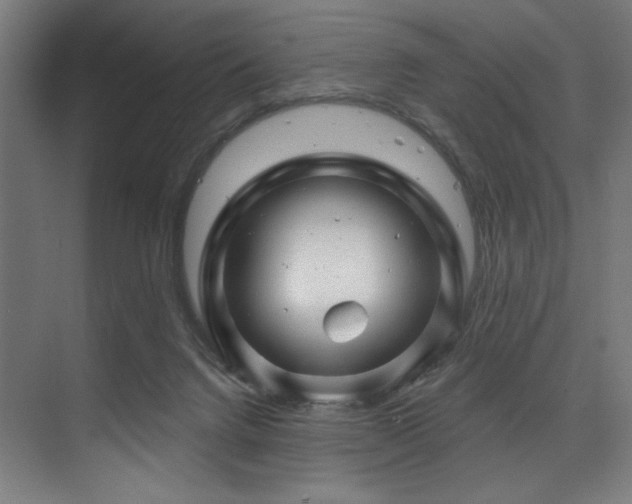 X0000074220072200608251140