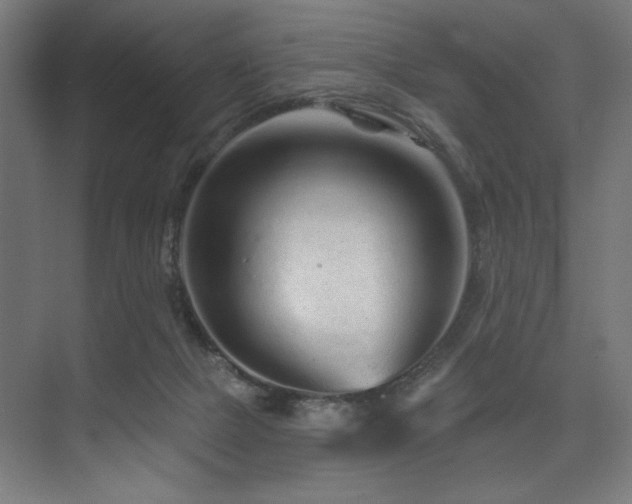 X0000074220073200608251140