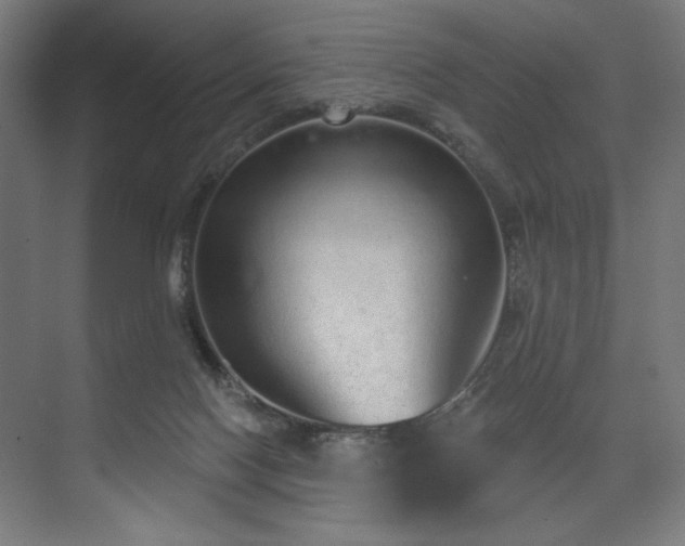 X0000074220074200608251140