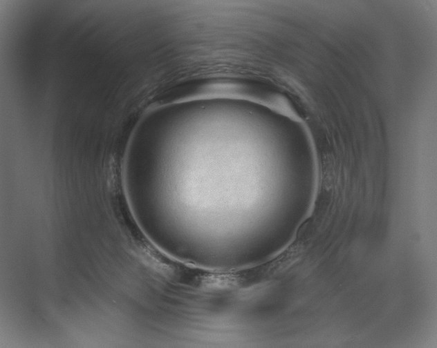 X0000074220077200608251140