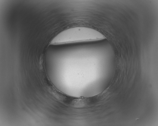 X0000074220082200608251140