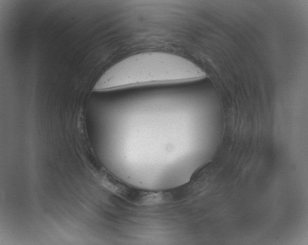 X0000074220083200608251140