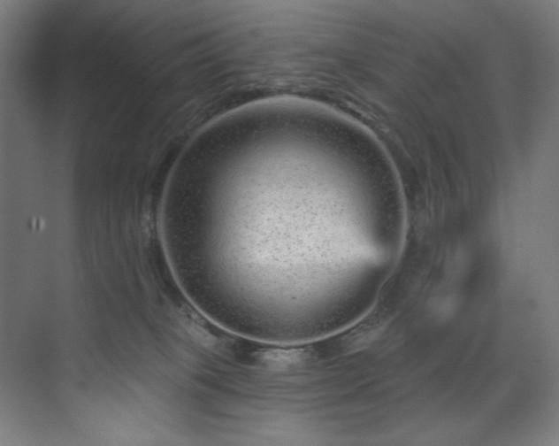 X0000074220085200608251140