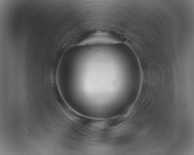 X0000074220086200608251140
