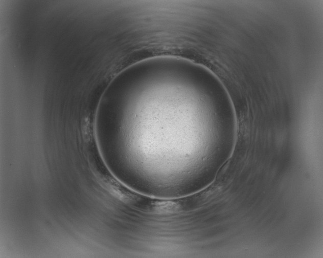 X0000074220087200608251140