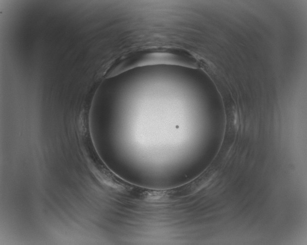 X0000074220088200608251140