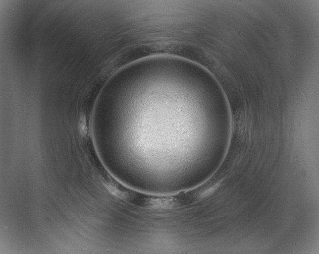 X0000074220089200608251140