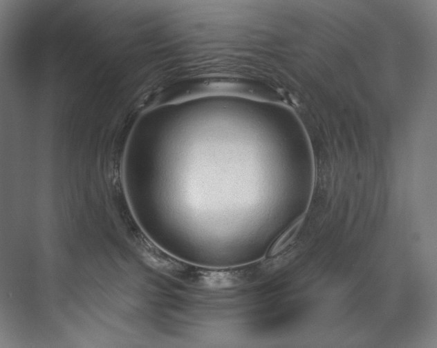 X0000074220091200608251140