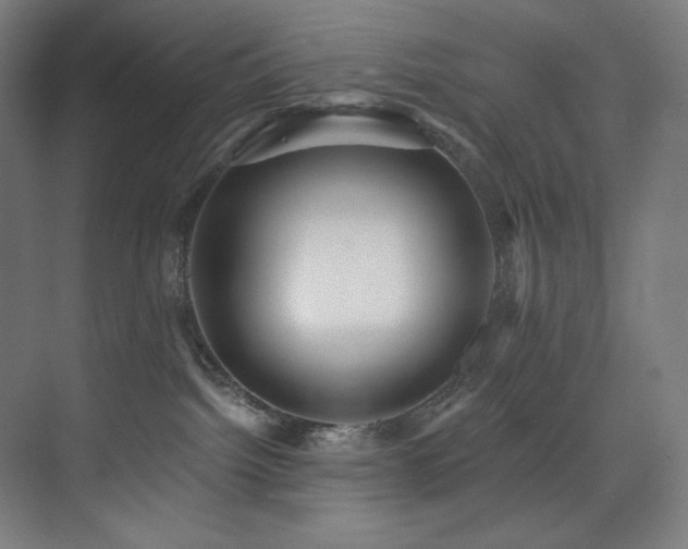 X0000074220092200608251140