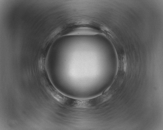 X0000074220093200608251140