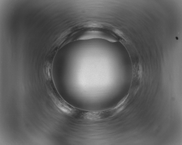 X0000074220094200608251140