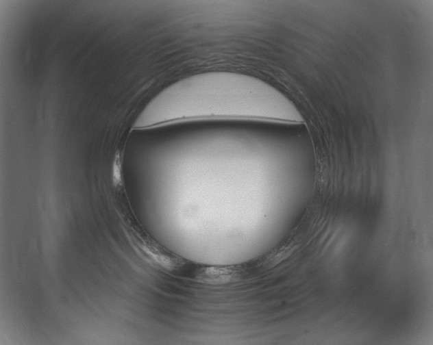 X0000074220095200608251140