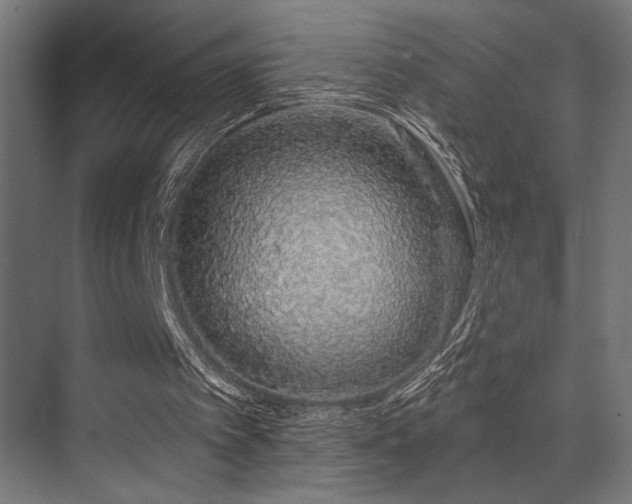 X0000074220097200608251139