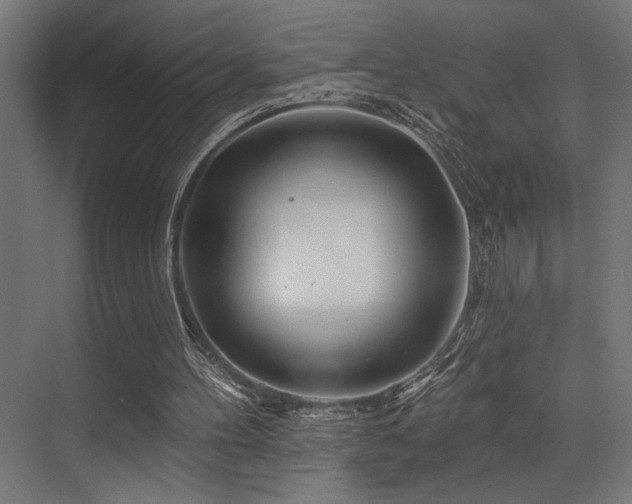 X0000074220100200608251139