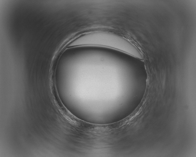 X0000074220101200608251139