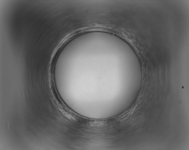 X0000074220102200608251139
