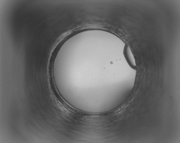 X0000074220104200608251139