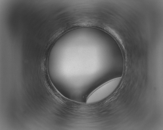 X0000074220105200608251139