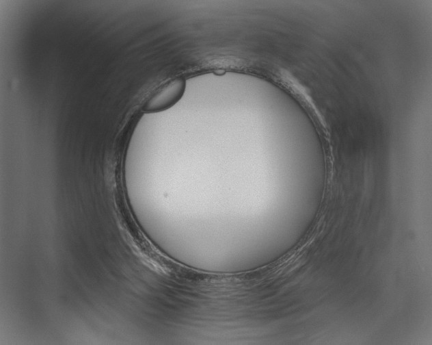 X0000074220106200608251139