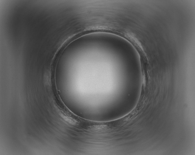 X0000074220108200608251139